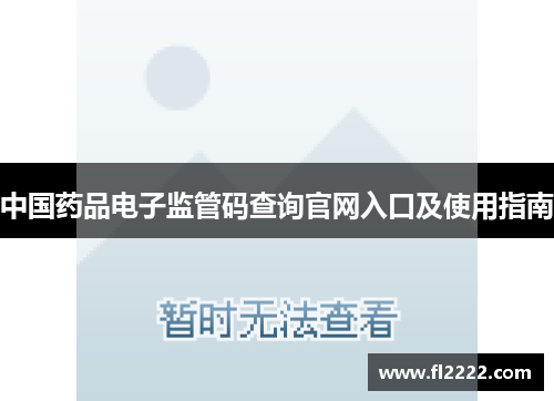 中国药品电子监管码查询官网入口及使用指南