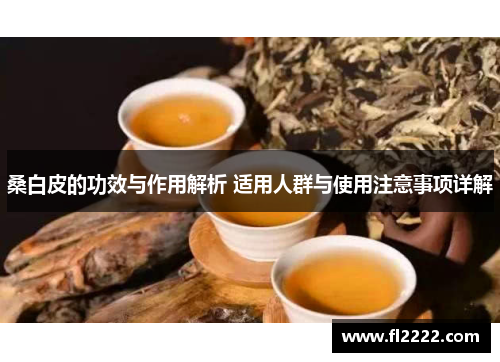 桑白皮的功效与作用解析 适用人群与使用注意事项详解